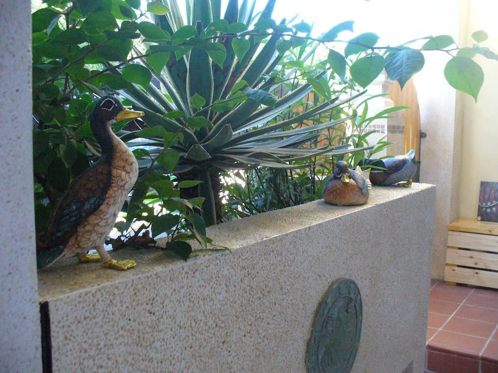 Alongs Garden Bed & Breakfast Hengchun Exterior photo